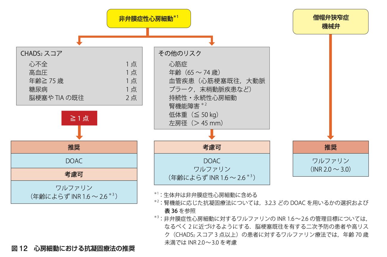 抗凝固療法