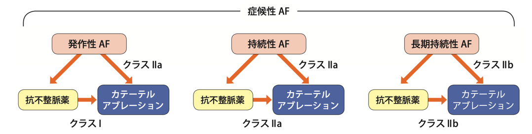  症候性心房細動 (症状あり)