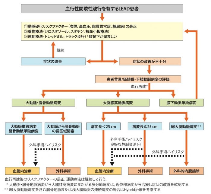 日本循環器学会ガイドライン