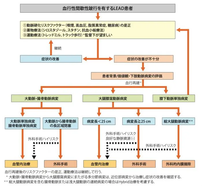 下肢閉塞性動脈硬化症の診断・治療指針（ペーパーバック） 下肢閉塞性動脈硬化症の診断・治療指針2 | 日本脈管学会 |本
