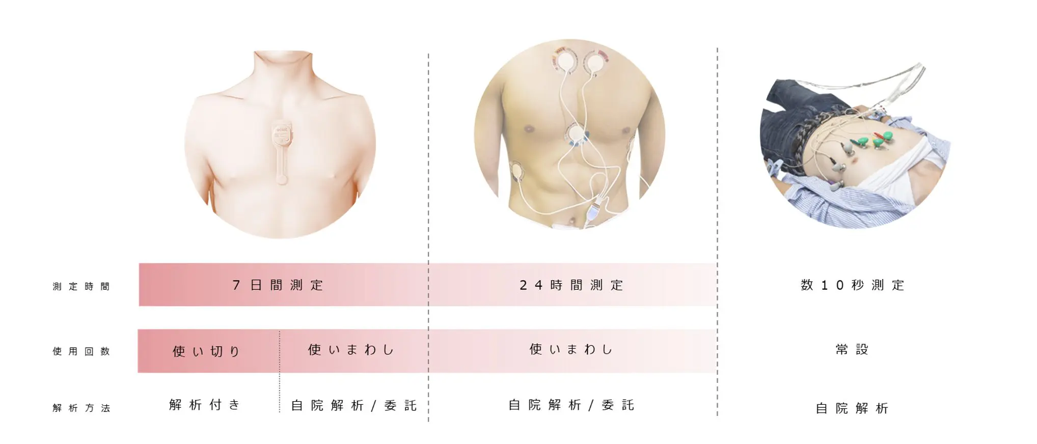 ビギナーからエキスパートまでのホルター心電図パーフェクト 楽天市場】ビギナーからエキスパートまでのホルター心電図